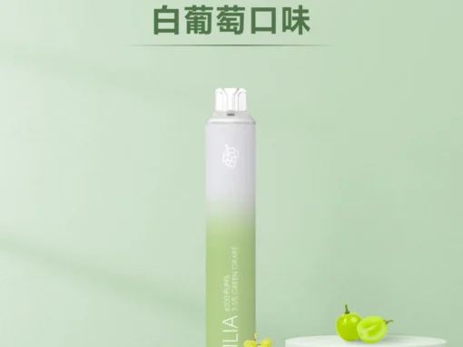 ilia一次性6500口電子煙白葡萄口味-續航升級｜多口味任選