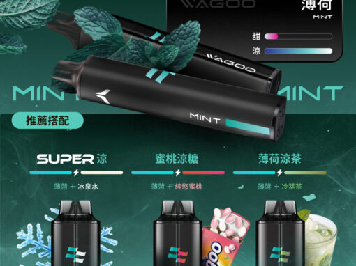 kis5 6500口一次性電子煙薄荷口味-WAGOO大容量磁吸式自由搭配現貨